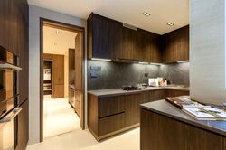 Klimt Cairnhill (D9), Apartment #522553821